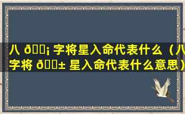 八 🐡 字将星入命代表什么（八字将 🐱 星入命代表什么意思）